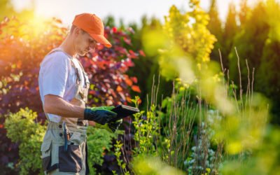 How a Lawn and Garden POS Can Transform Your Business